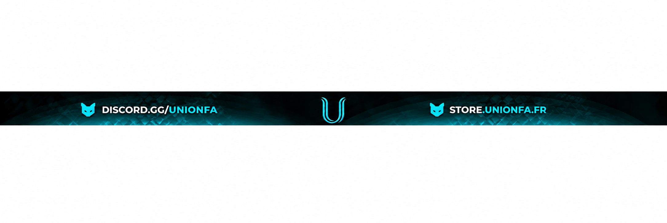 Union FA ⇝⇝⇝≫#Nouveau Serveur !≪⇜⇜⇜